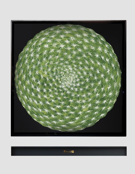 TAITÙ - VASSOIO QUADRATO CACTUS Collection