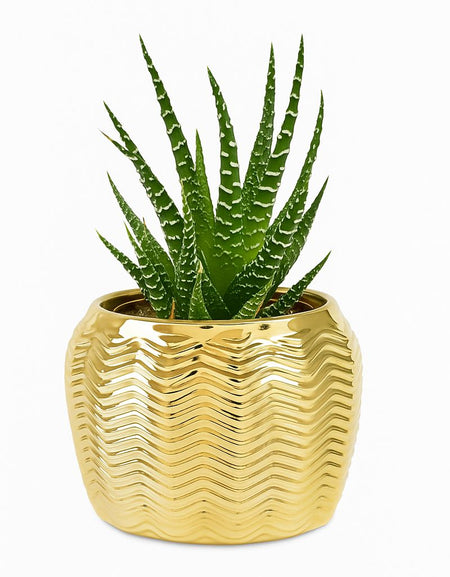 Vaso Dorato – Design Moderno e Raffinato BONGELLI PREZIOSI