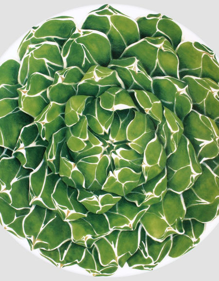 TAITÙ - PORTATA ROTONDO/SEGNAPOSTO CACTUS Collection