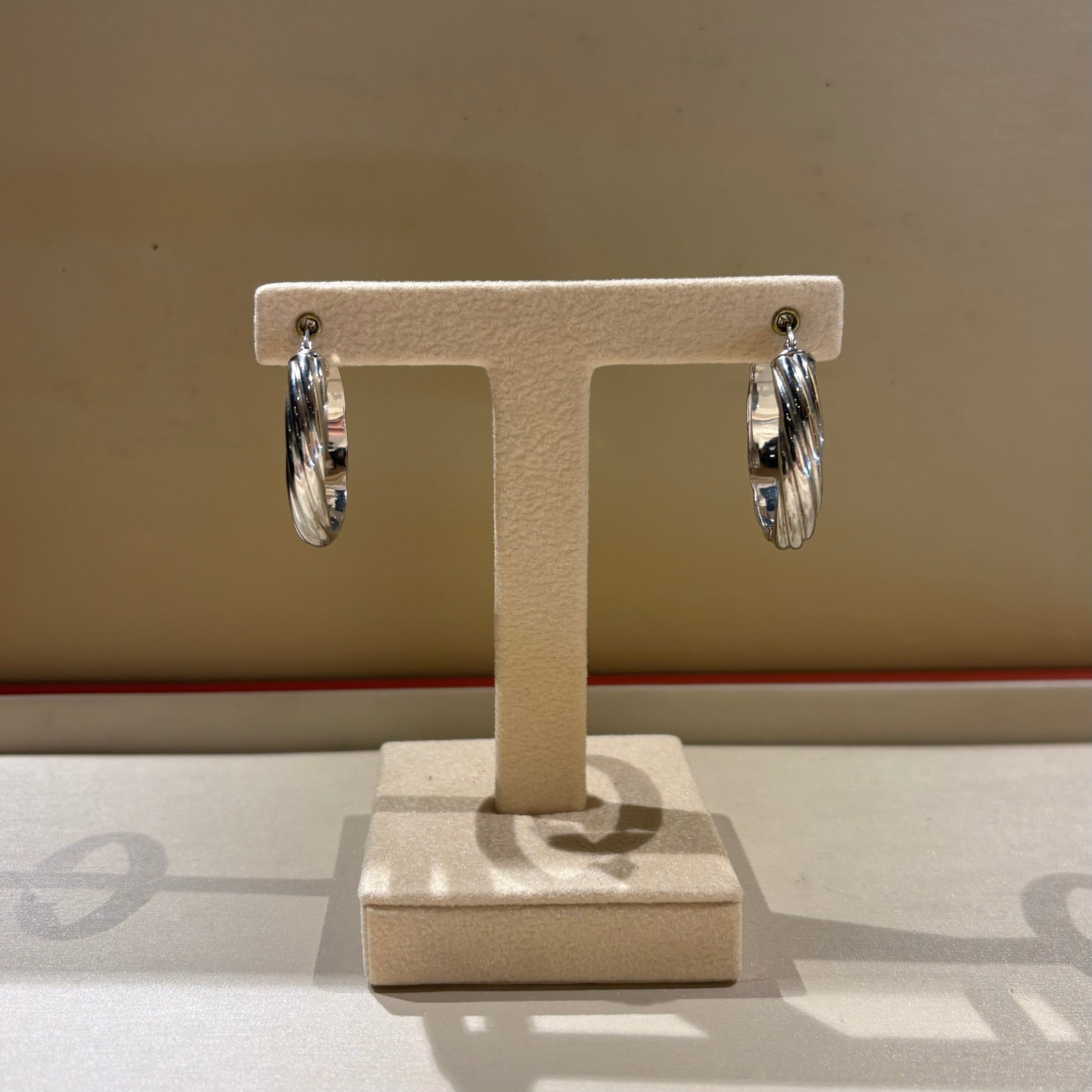 Orecchini a Cerchio in Argento 925