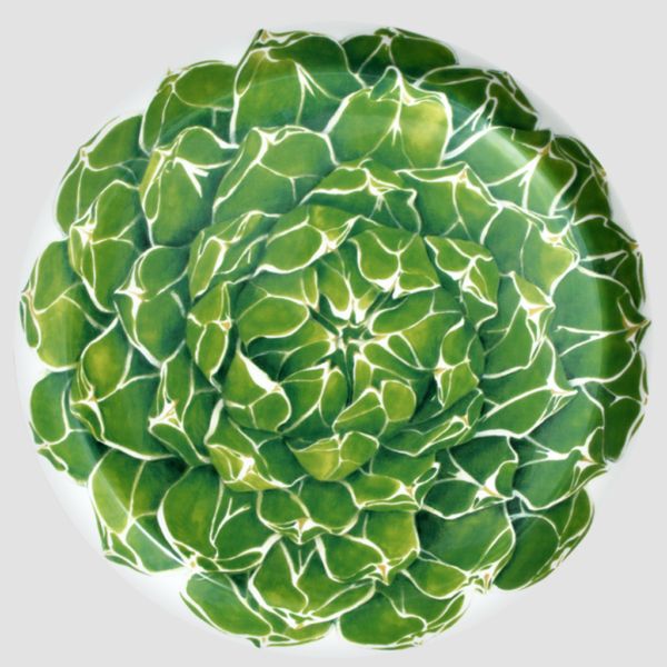 TAITÙ - ALZATA CACTUS Collection