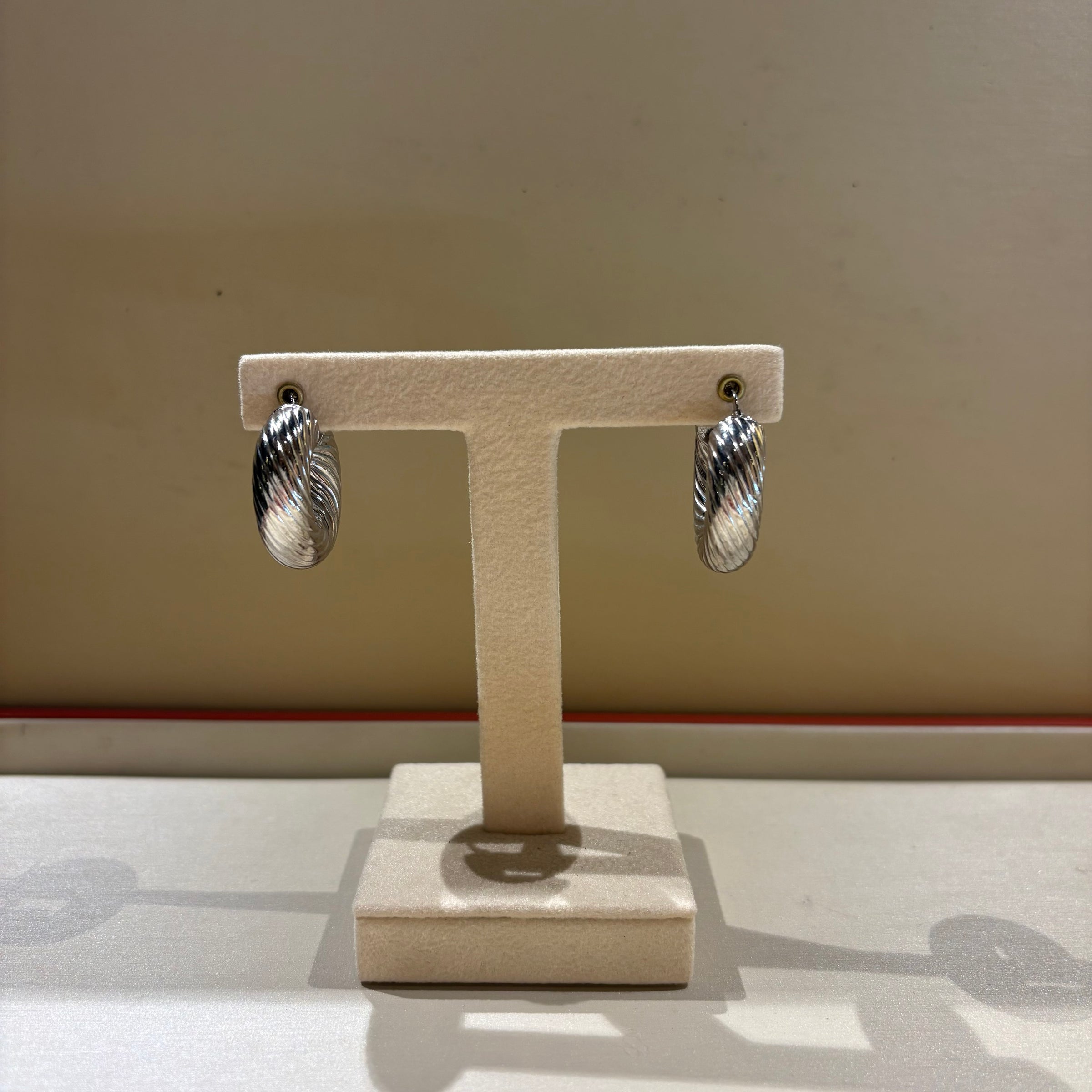 Orecchini a Cerchio in Argento 925