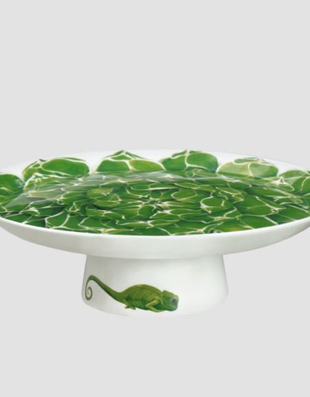 TAITÙ - ALZATA CACTUS Collection