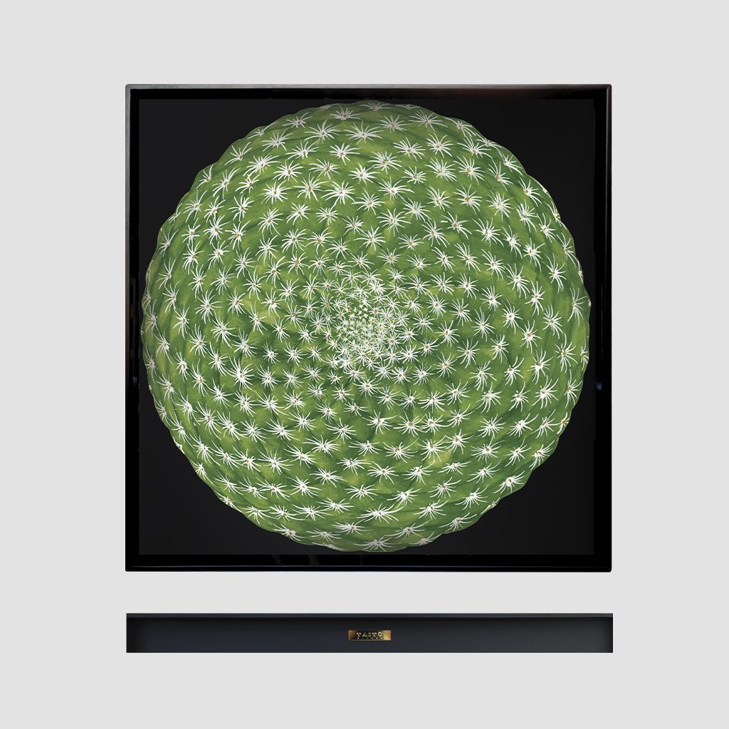 TAITÙ - VASSOIO QUADRATO CACTUS Collection