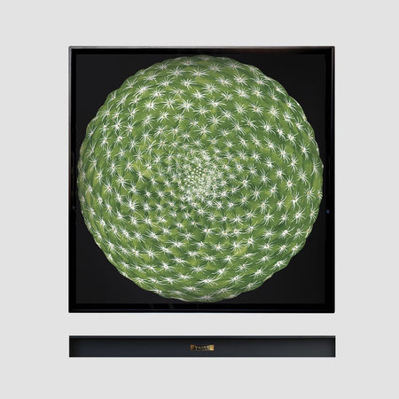 TAITÙ - VASSOIO QUADRATO CACTUS Collection