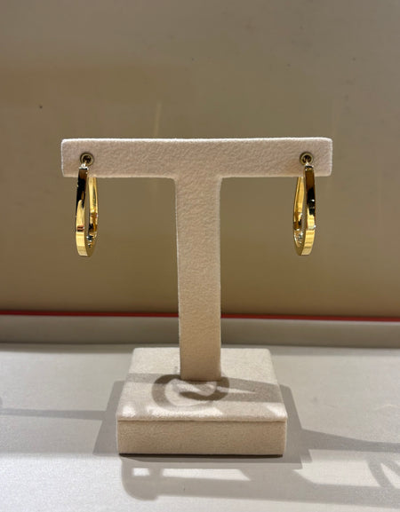 Orecchini a Cerchio in Argento Dorato 925