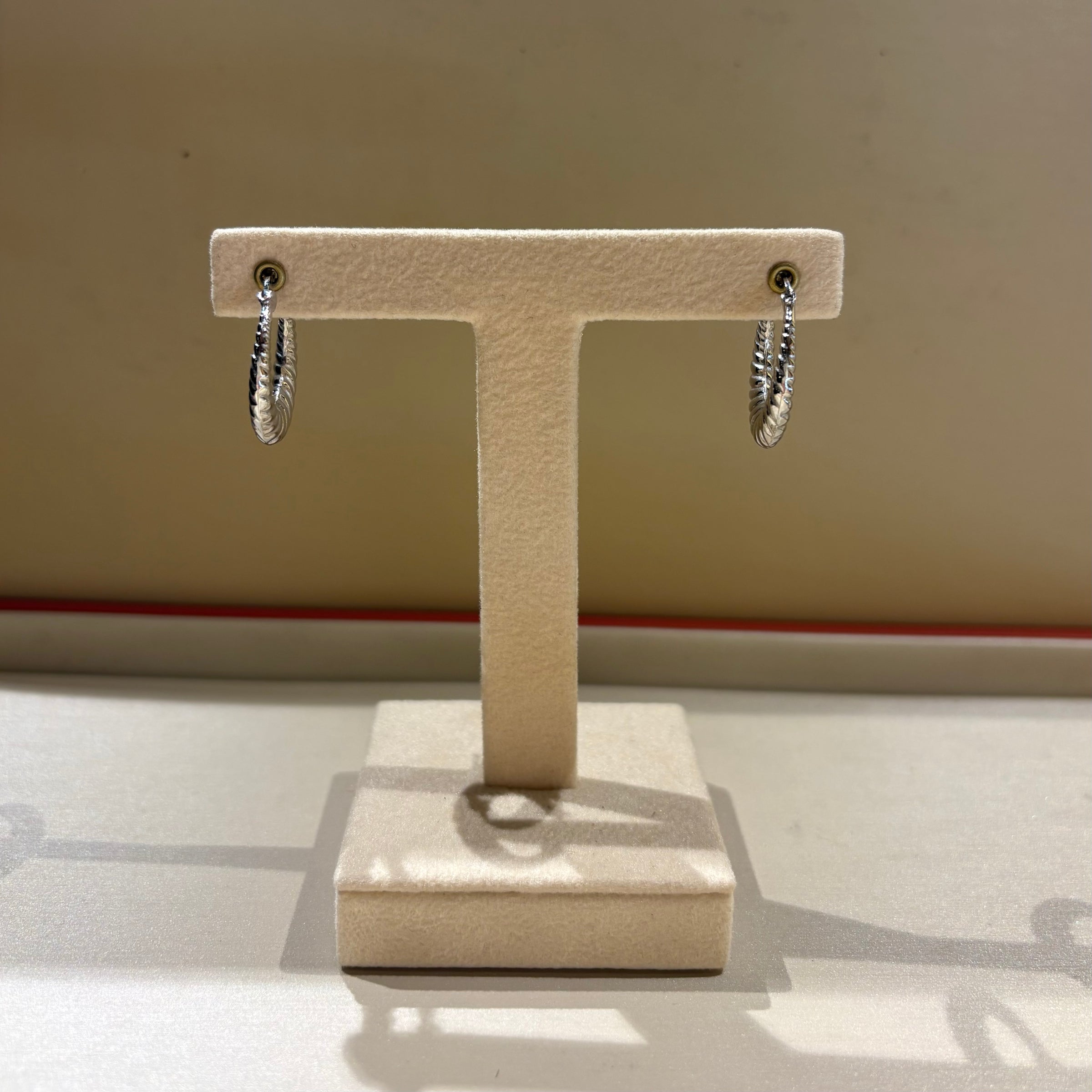 Orecchini a Cerchio in Argento 925