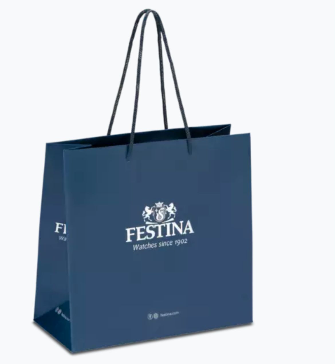 OROLOGIO FESTINA TIMELESS CHRONOGRAPH F20542/1 ARGENTO CON CINTURINO IN PELLE, UOMO