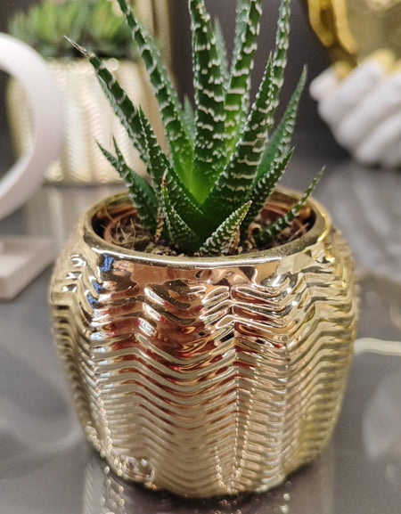 Vaso Dorato – Design Moderno e Raffinato BONGELLI PREZIOSI