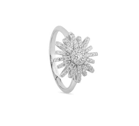 Anello SALVINI in oro bianco 18kt e diamanti
