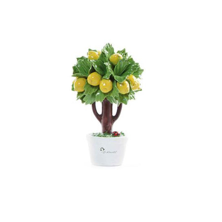 Pianta natura in ceramica limone – GLI ALBERELLI