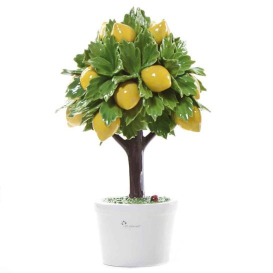 Pianta natura in ceramica limone – GLI ALBERELLI
