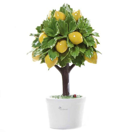 Pianta natura in ceramica limone – GLI ALBERELLI