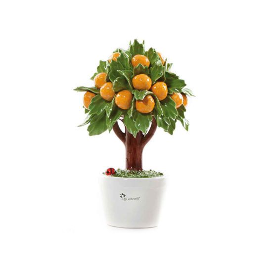Pianta natura in ceramica arancio – GLI ALBERELLI