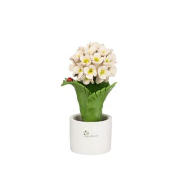 Pianta natura in ceramica ortensia – GLI ALBERELLI