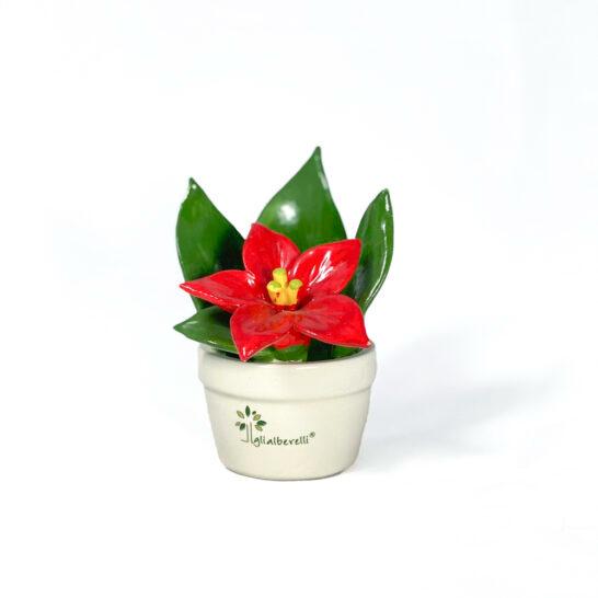 GLI ALBERELLI  – Profumina Stella Di Natale