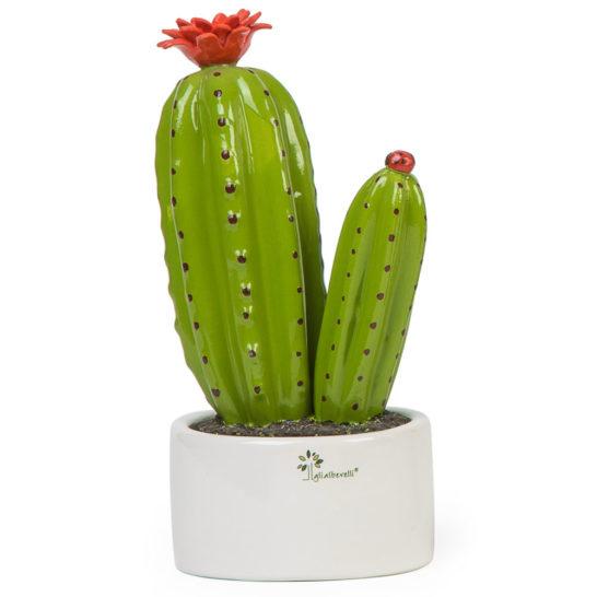 GLI ALBERELLI – Piantina Grassa Cactus