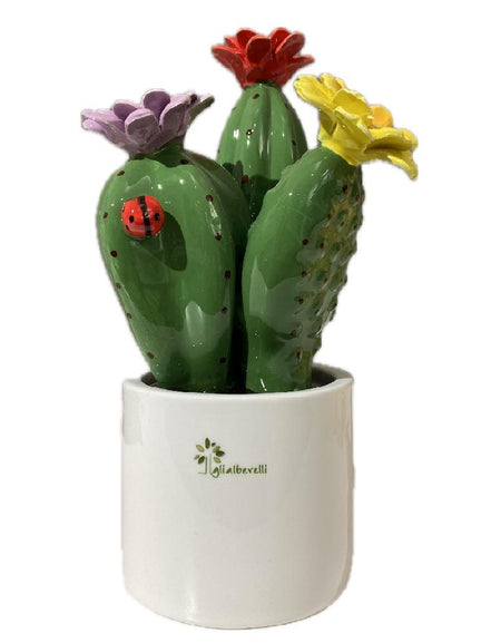 GLI ALBERELLI - Piantina Grassa Tripla