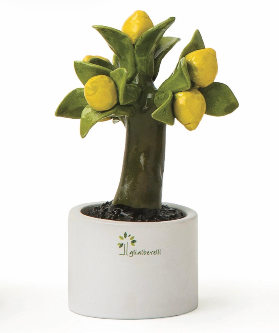 GLI ALBERELLI – Alberello Allegro Limone