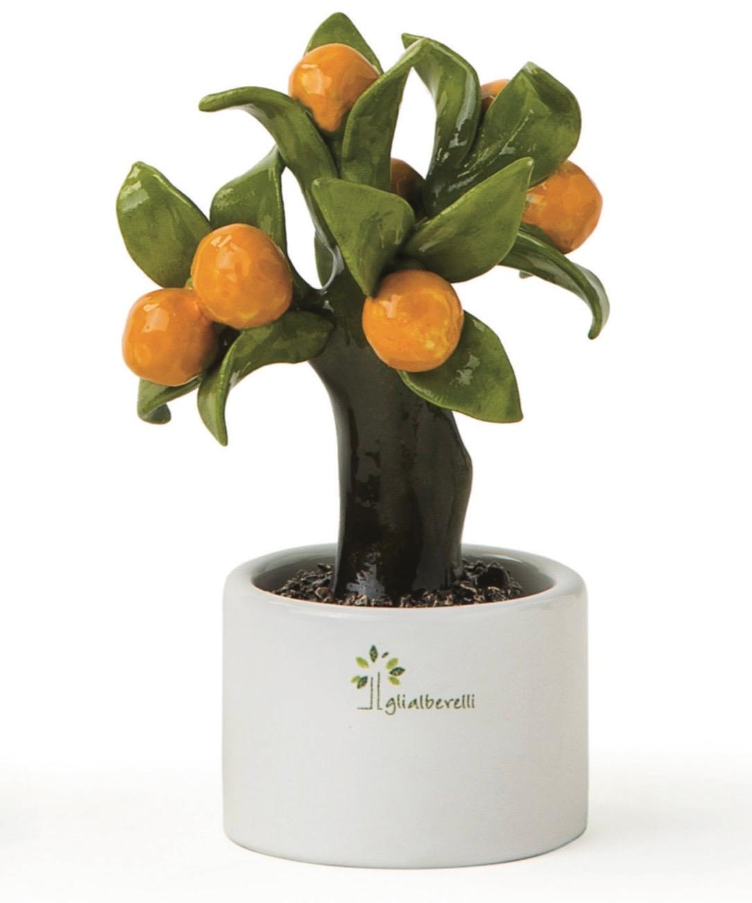 GLI ALBERELLI – Alberello Allegro Arancio