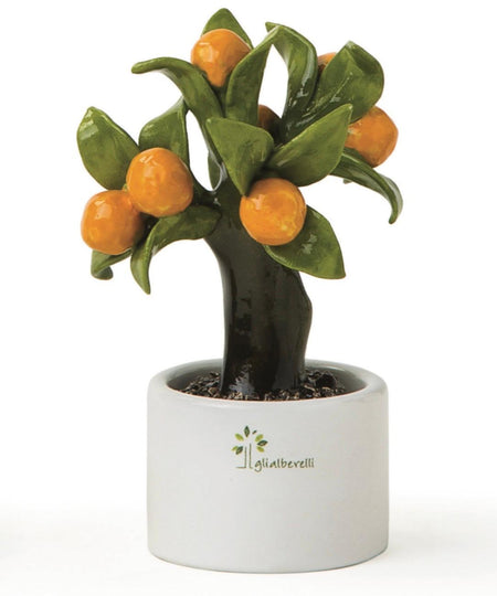 GLI ALBERELLI – Alberello Allegro Arancio