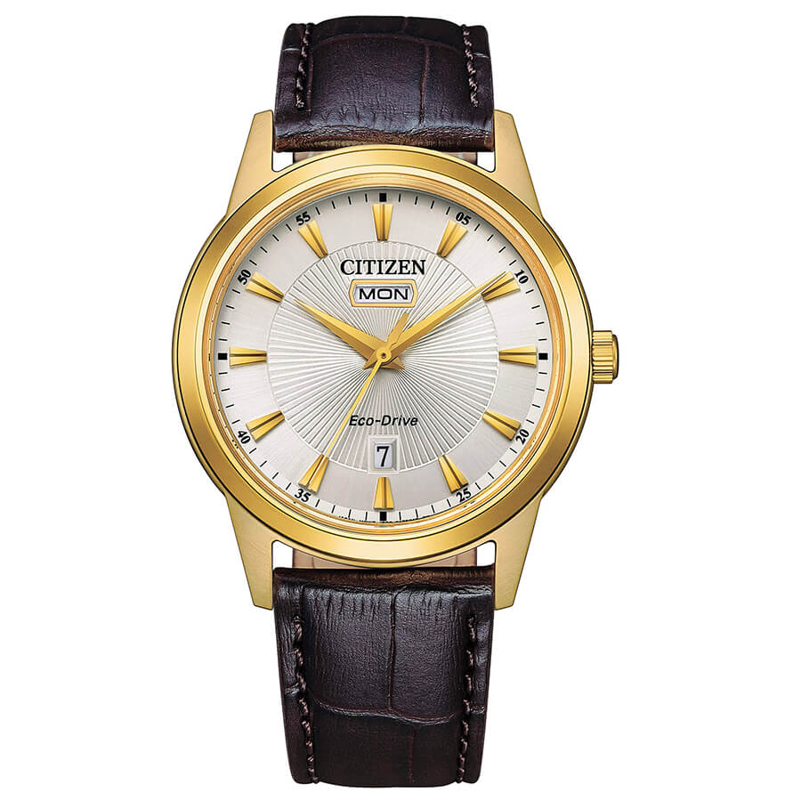 CITIZEN Orologio Uomo Classic Solotempo 0102-13A