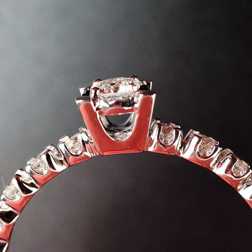 Translation missing: it.products.featured_product.gallery_thumbnail_alt
